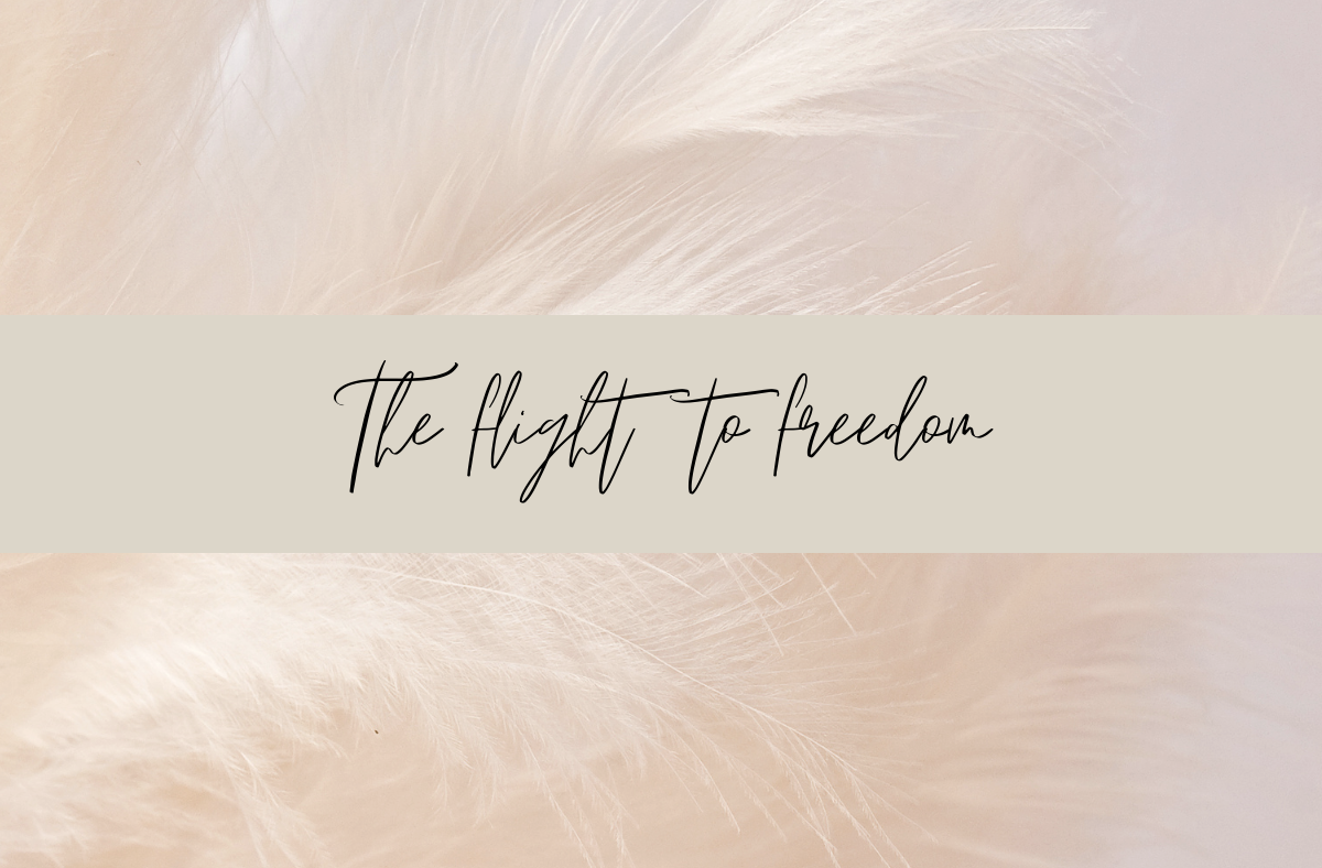 The Flight to Freedom