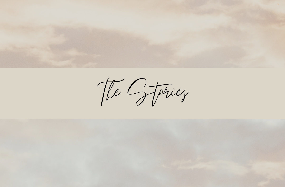 The Stories-3