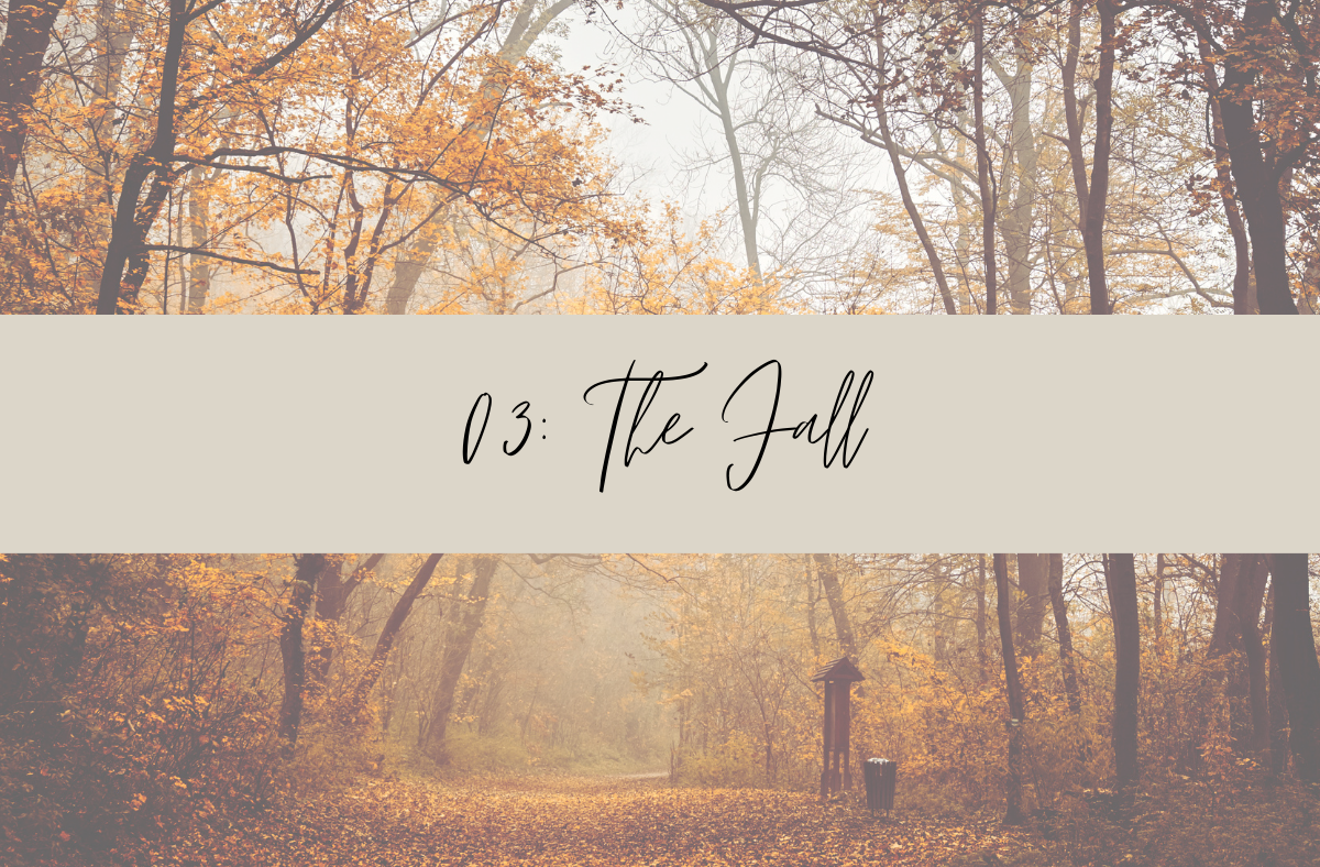 03 The Fall Home