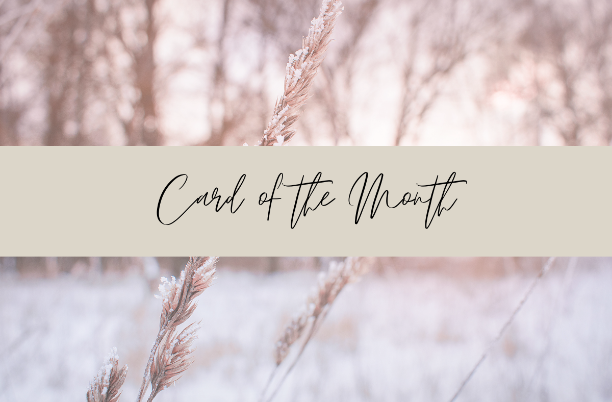 Card of the Month (1)