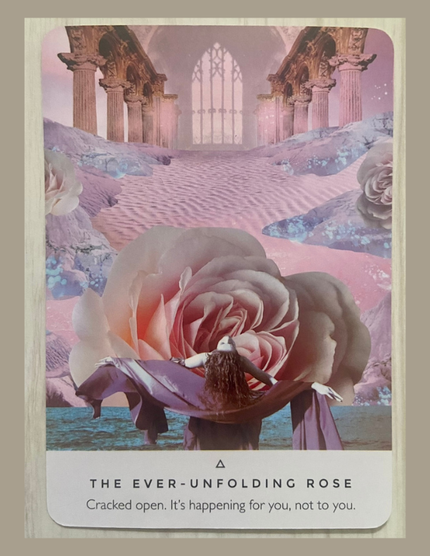 Ever Unfolding Rose