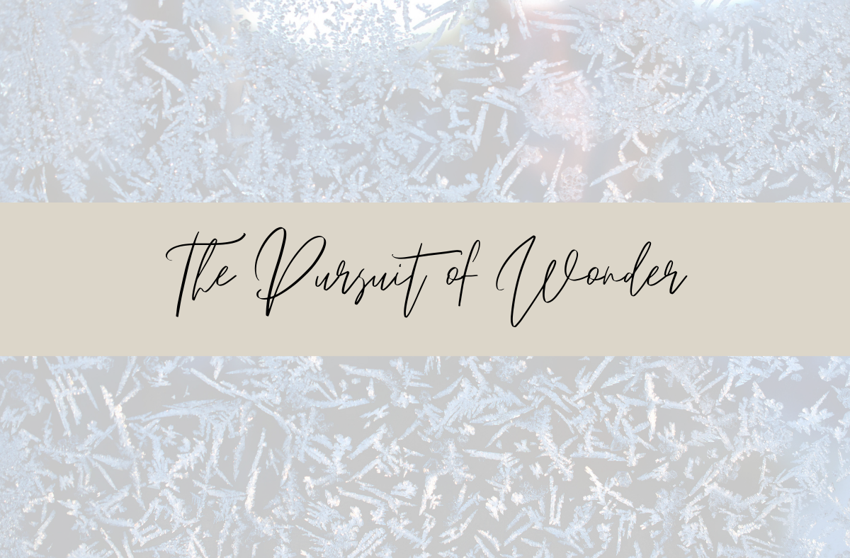 The Pursuit of Wonder