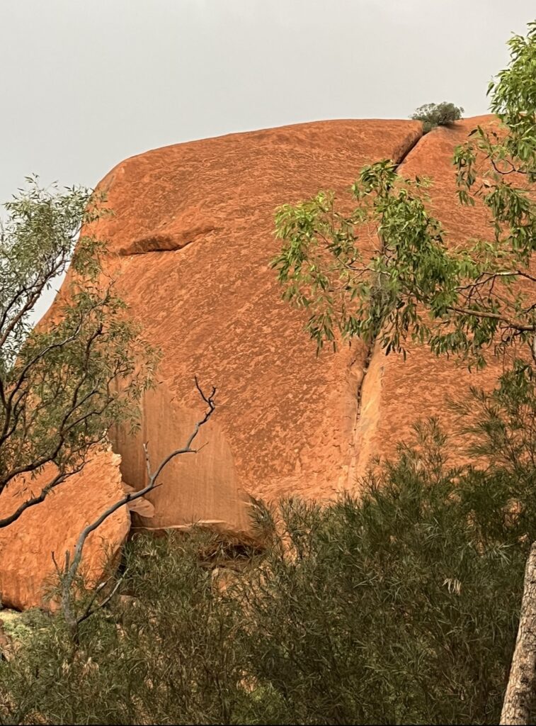 Uluru_Liru Warrior