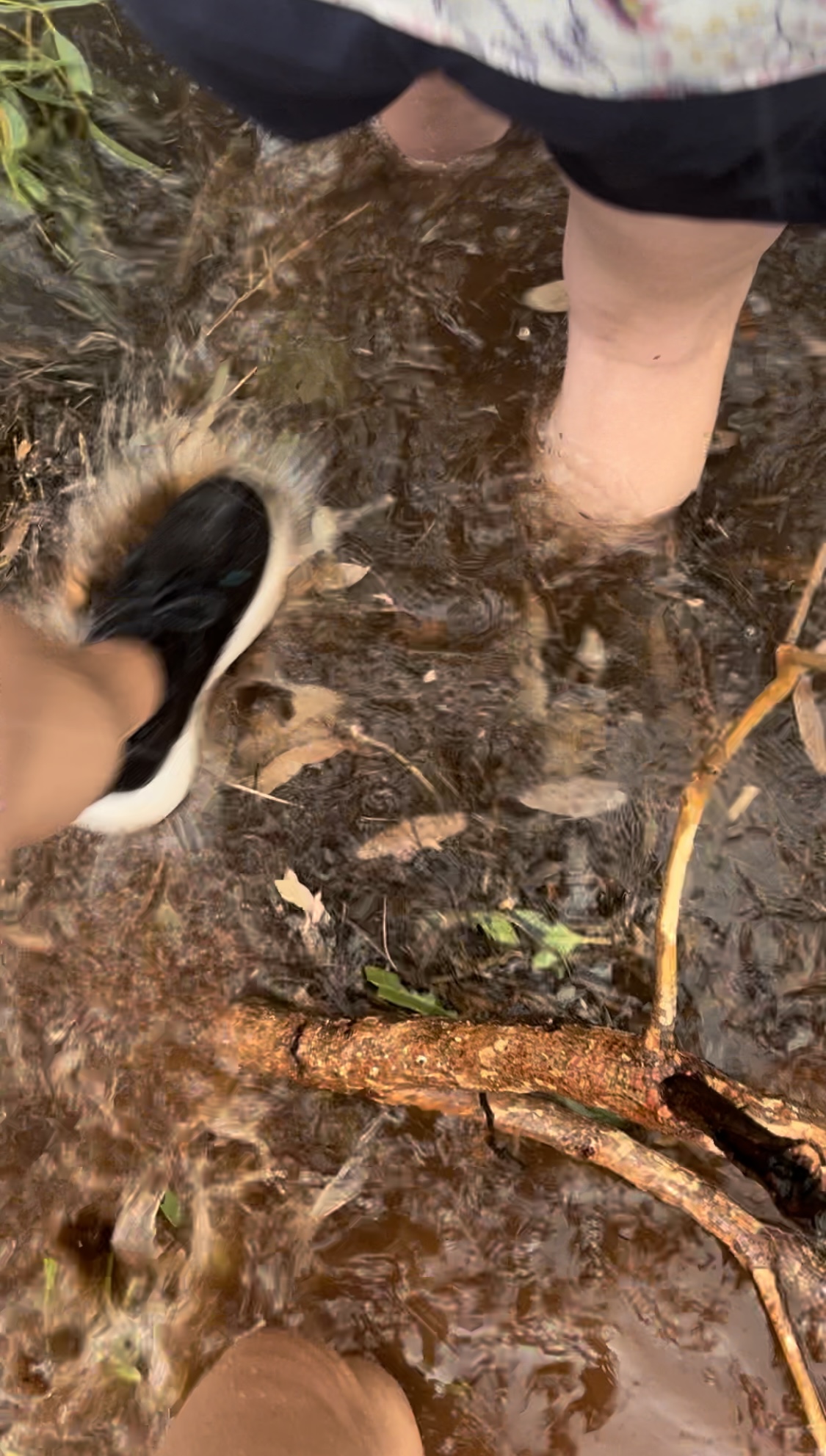 Uluru_Wading over fallen trees