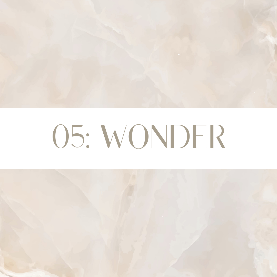 05 Wonder