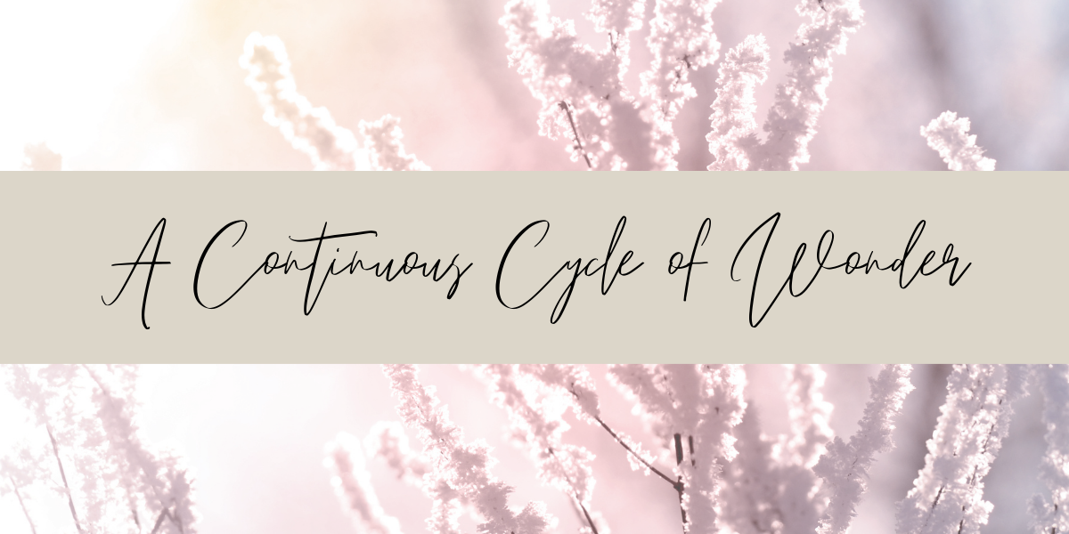 A Continuous Cycle of Wonder