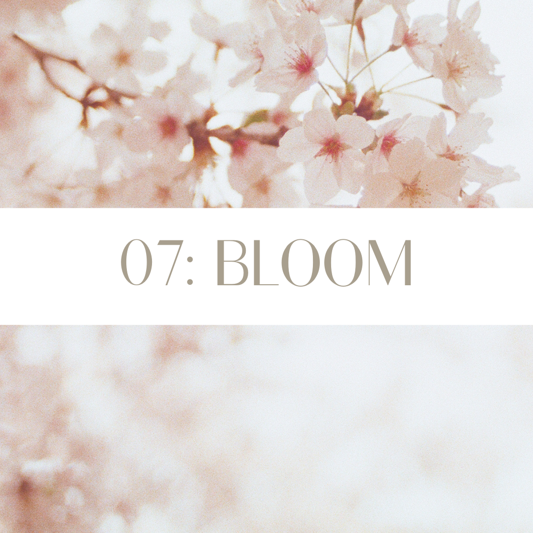 Bloom