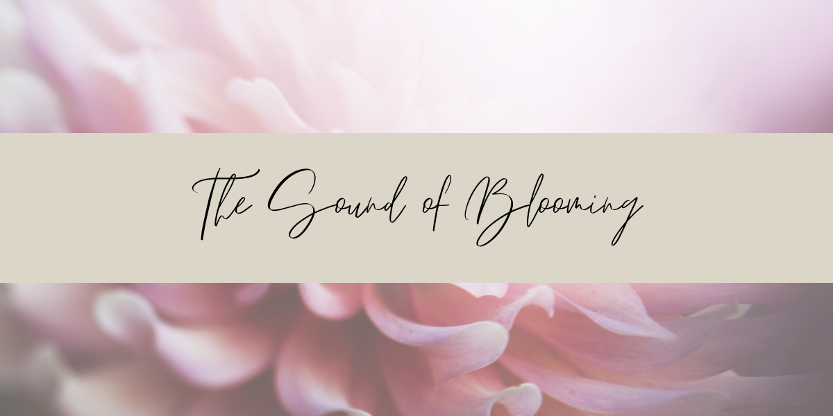 The sound of bloom