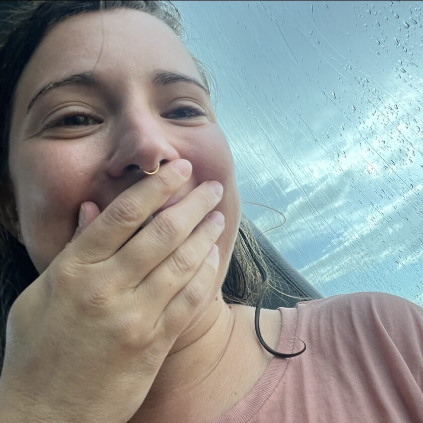 Uluru post-storm reaction